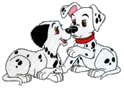 dalmation jpg