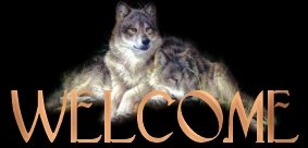 wolf_welcome jpg